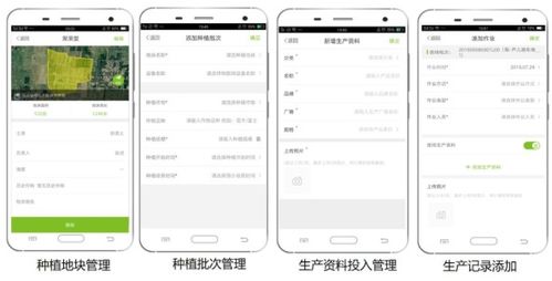 大田智慧農業投資1.28億元數字化服務，推動農產品安全生產與數字內容制作