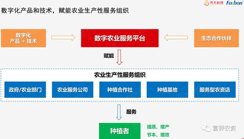 dt智慧服務(wù)聯(lián)盟 攜手共赴數(shù)字農(nóng)業(yè)新時(shí)代